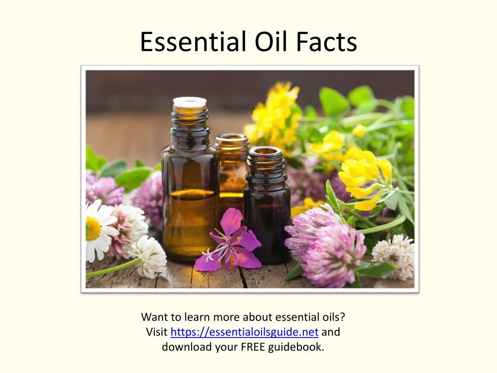 essential oil facts