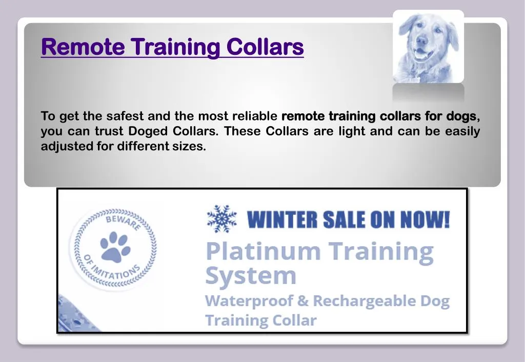 remote training collars