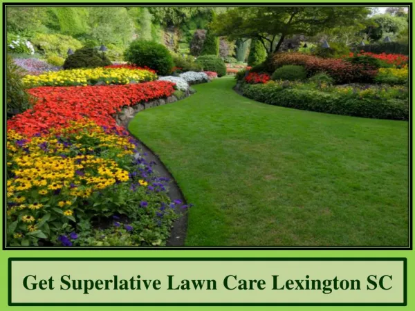 Get Superlative Lawn Care Lexington SC