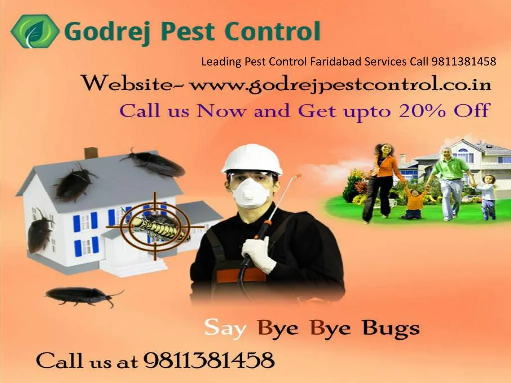 leading pest control faridabad services call