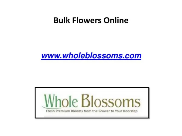 Bulk Flowers Online - www.wholeblossoms.com