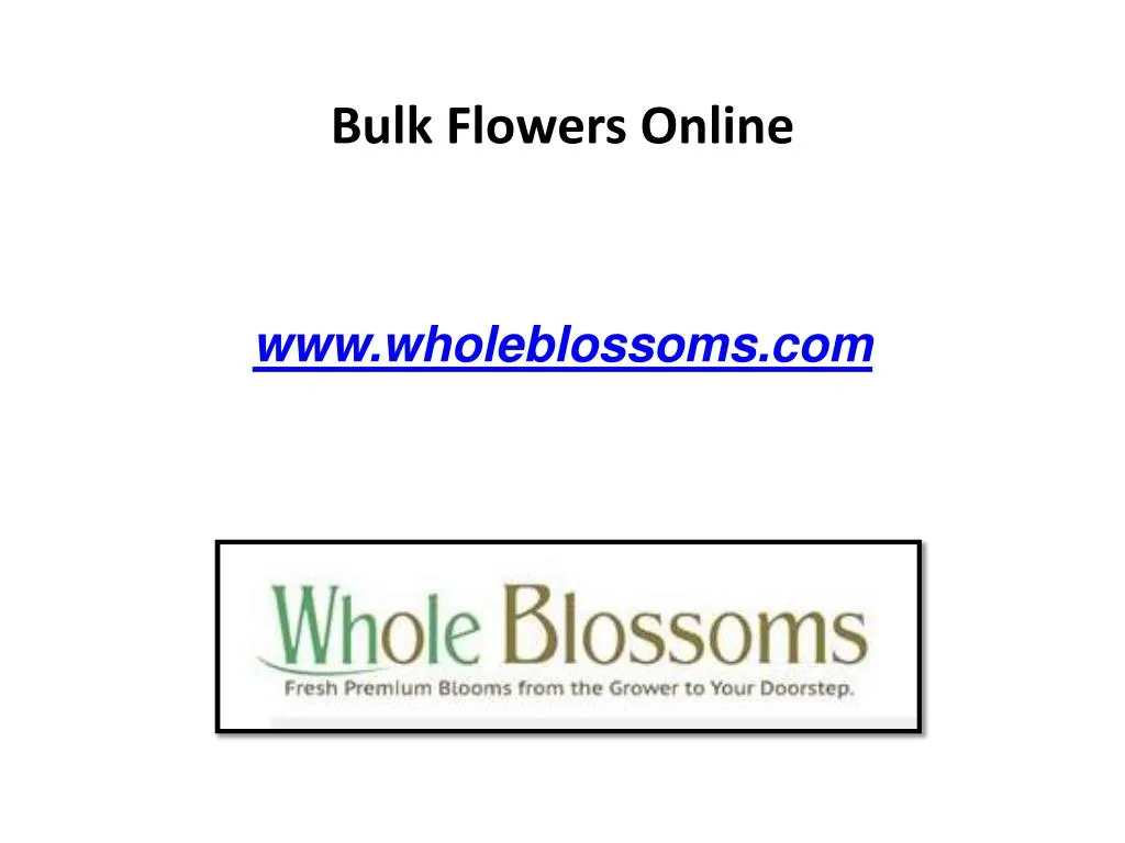 bulk flowers online