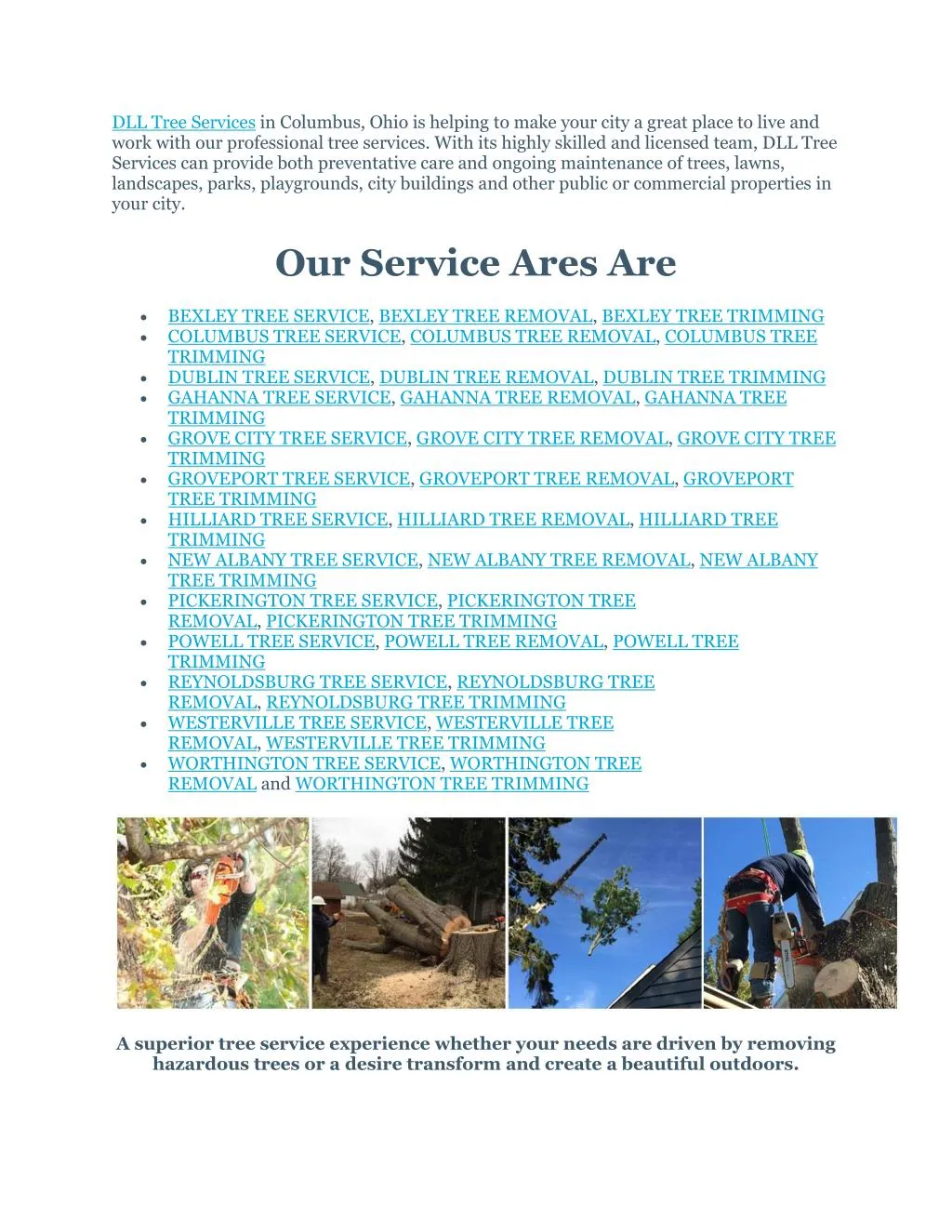 dll tree services in columbus ohio is helping