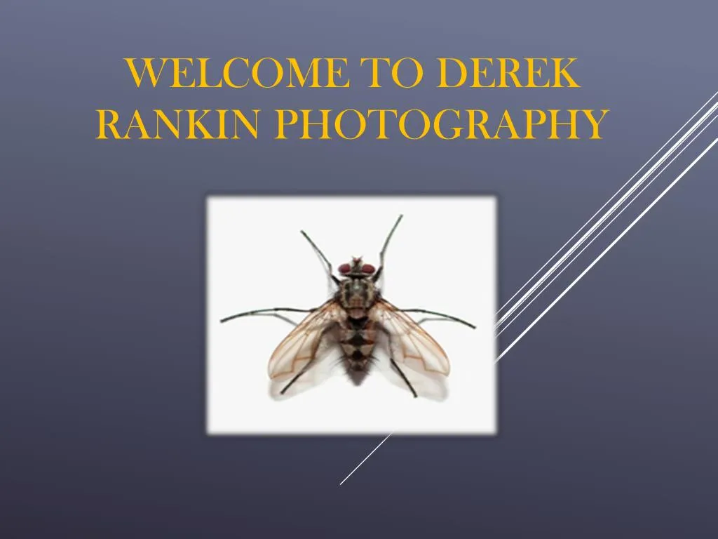 welcome to derek rankin photography
