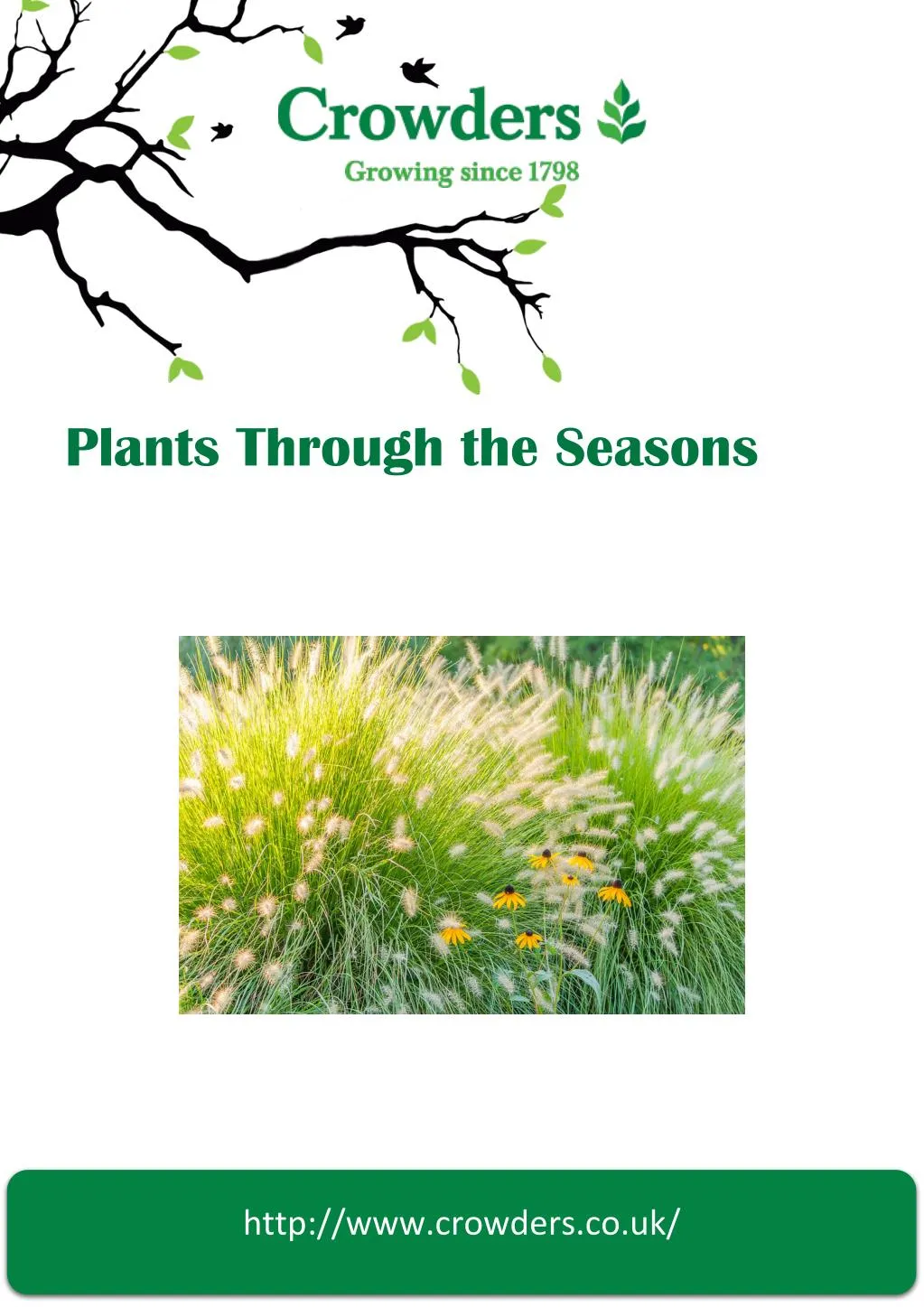 plants through the seasons