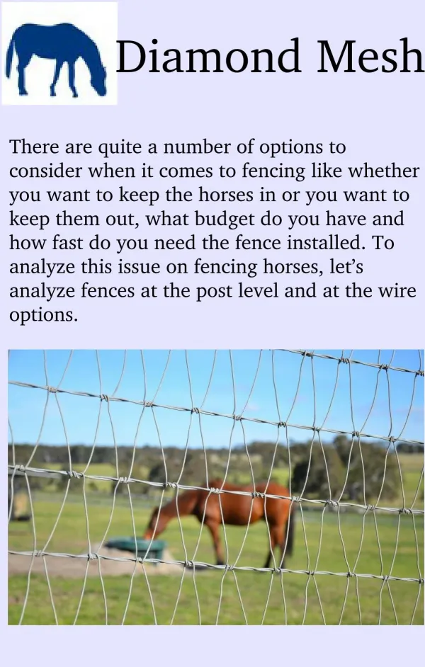 The Best Analysis of Horse Fencing