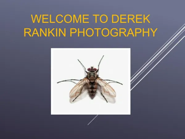 Derek Rankins