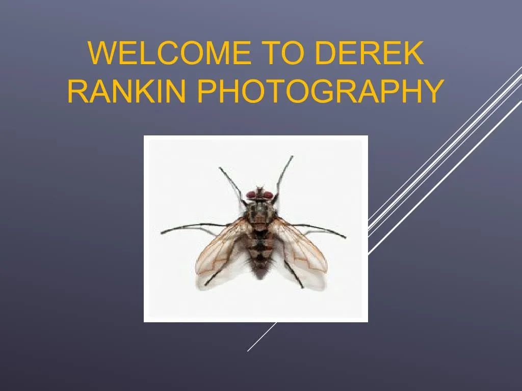 welcome to derek rankin photography