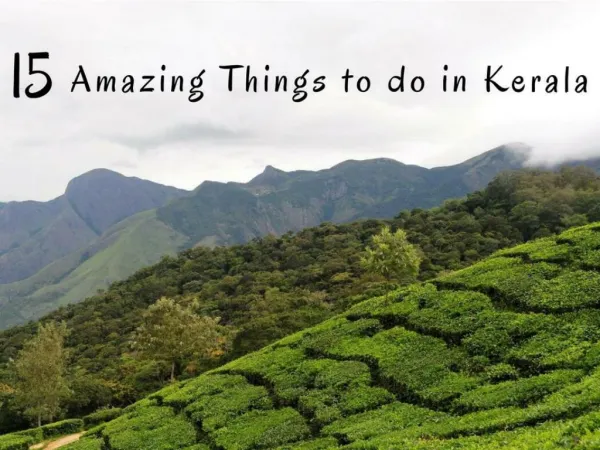15 Unique Things That Traveller Should Not Miss in Kerala