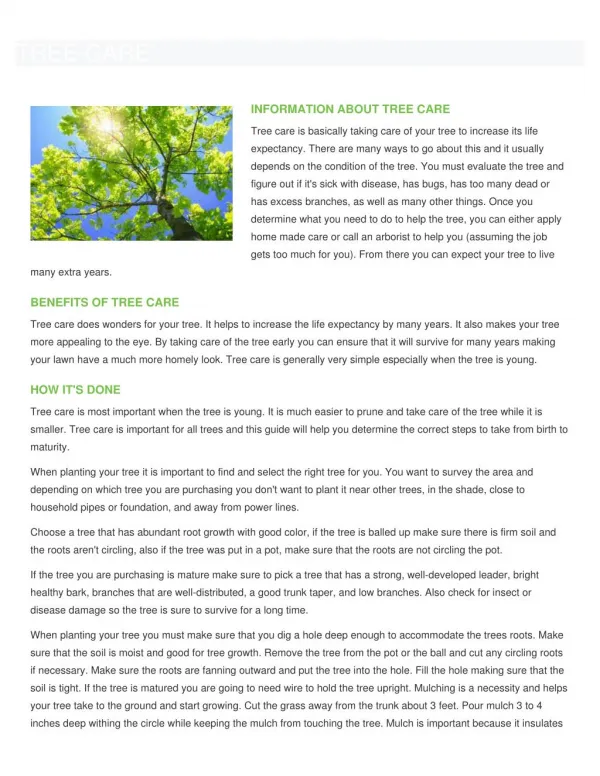 Tree Care and Tree Services
