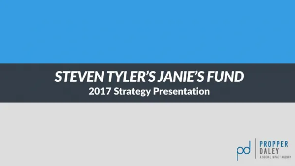 Janie's Fund 2017 Strategy