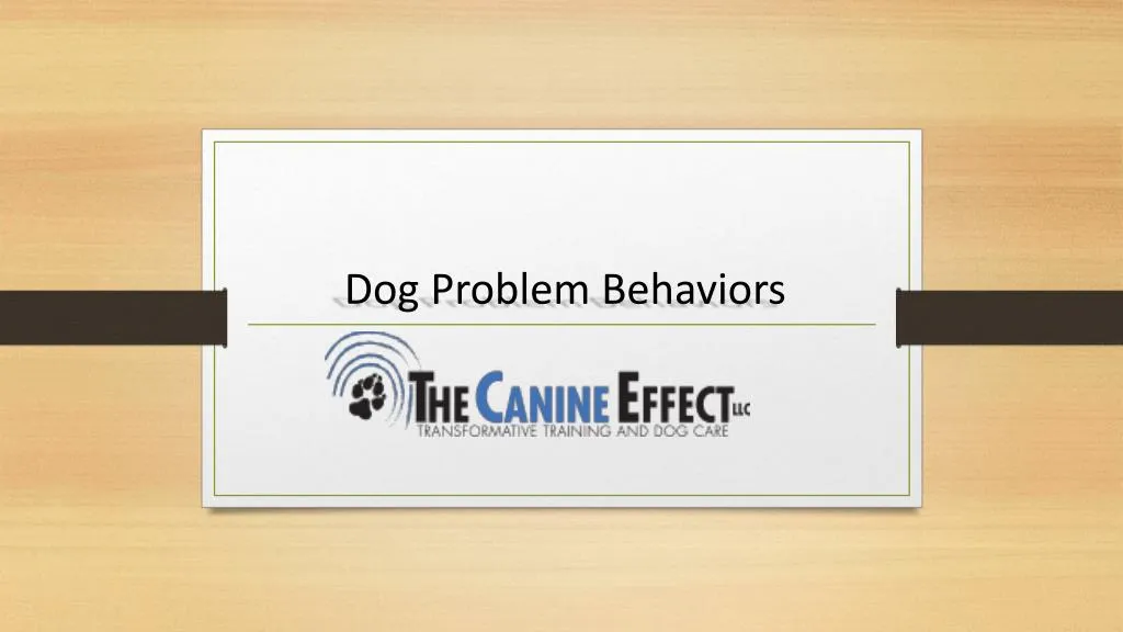 dog problem behaviors