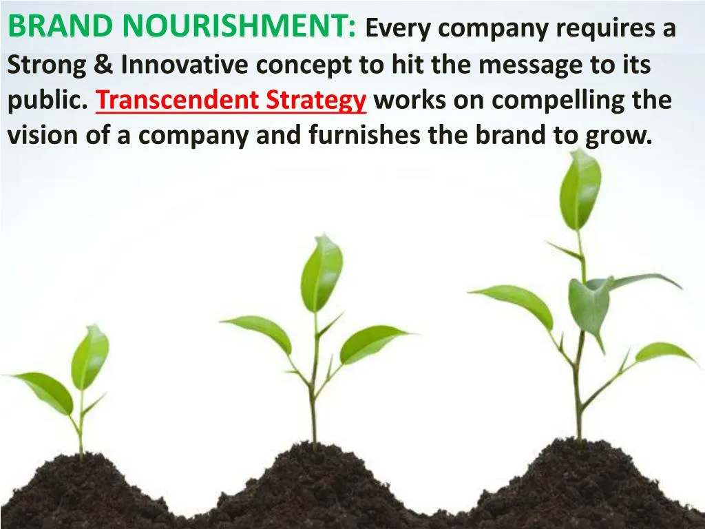 brand nourishment every company requires a strong