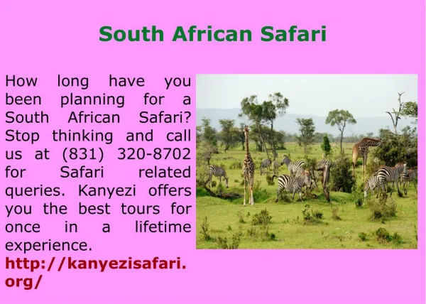 Best South Africa Safari
