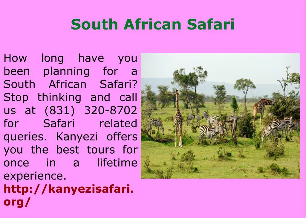 south african safari