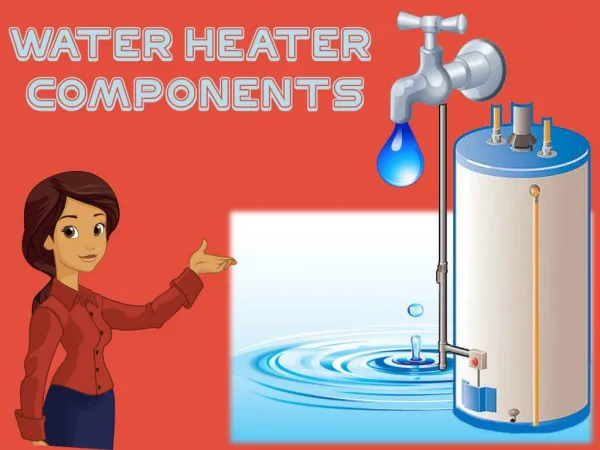 Water Heater Components