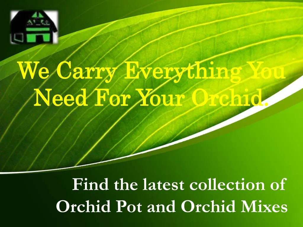 find the latest collection of orchid pot and orchid mixes