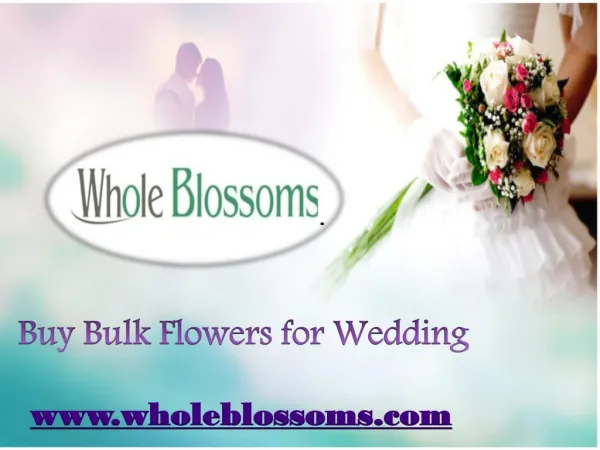 Buy Bulk Flowers for Wedding - www.wholeblossoms.com