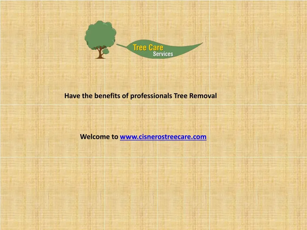 have the benefits of professionals tree removal