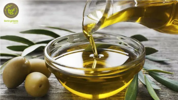 Olive Oil - The Heart of the Matter