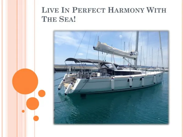 Live In Perfect Harmony With The Sea!