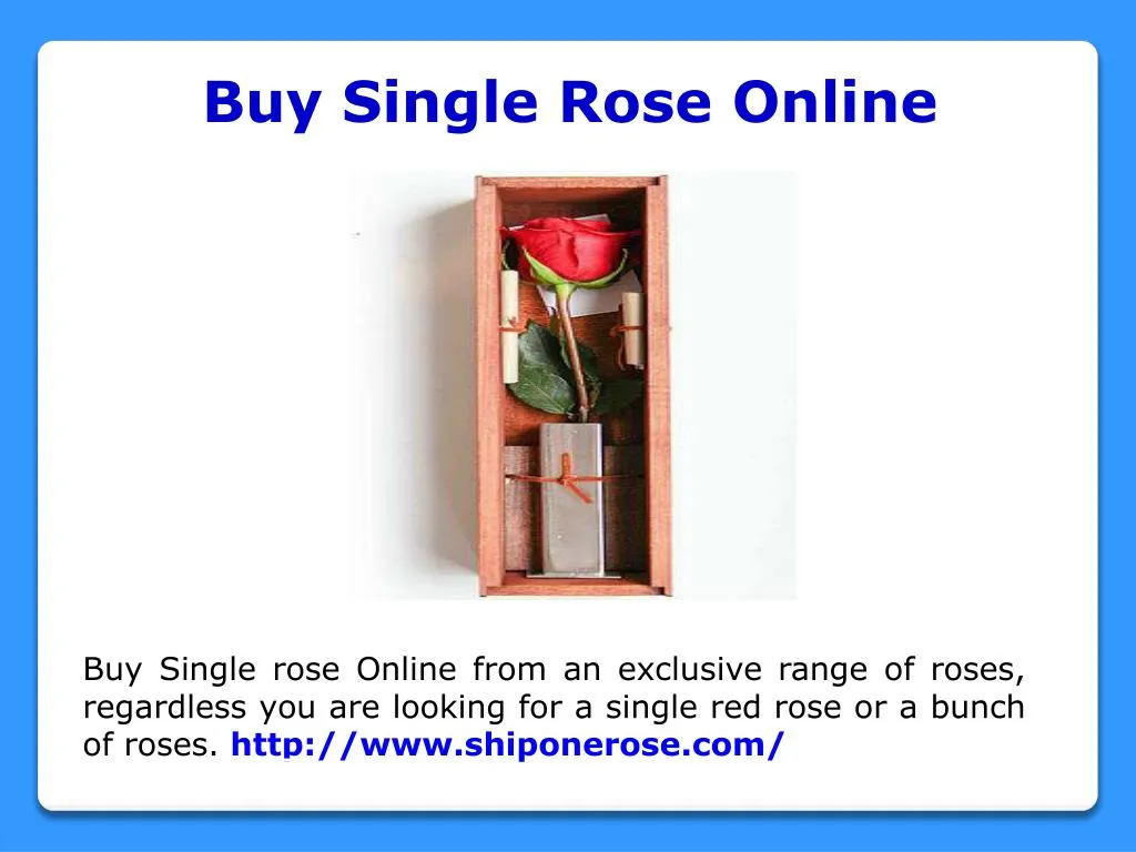 buy single rose online