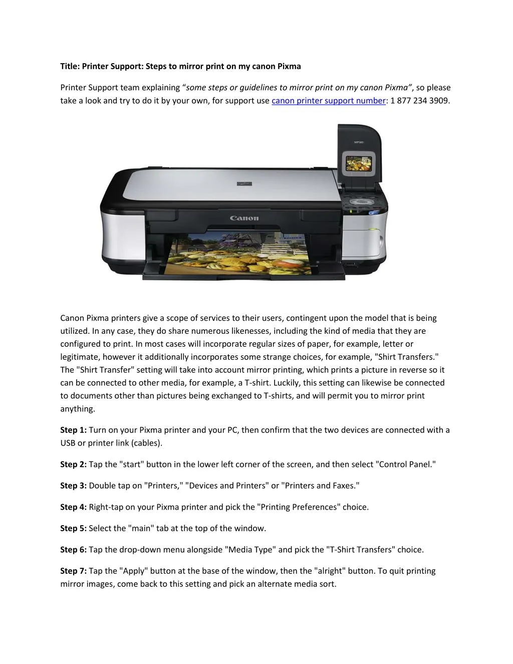 title printer support steps to mirror print