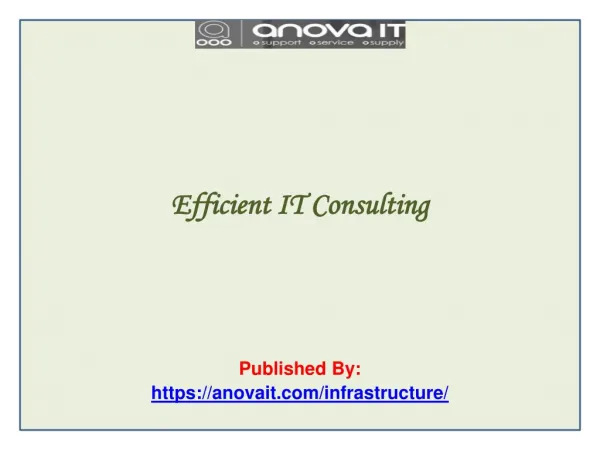 Efficient IT Consulting