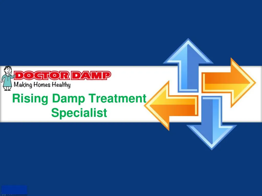 rising damp treatment specialist