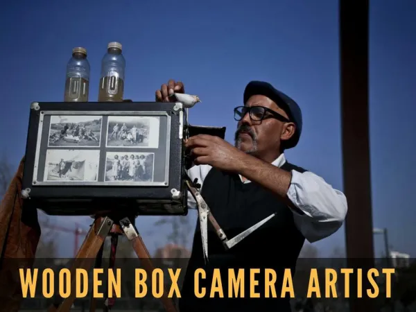 Wooden box camera artist