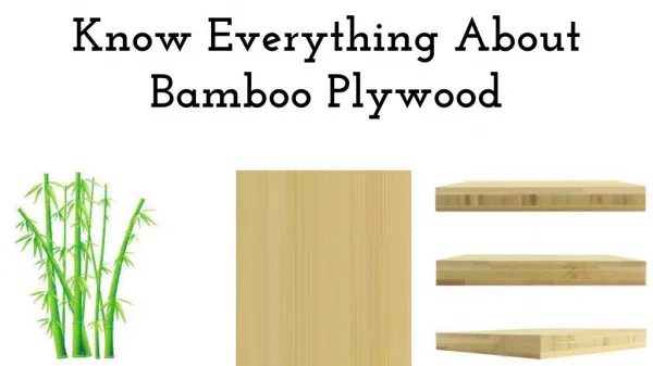Know Everything About Bamboo Plywood