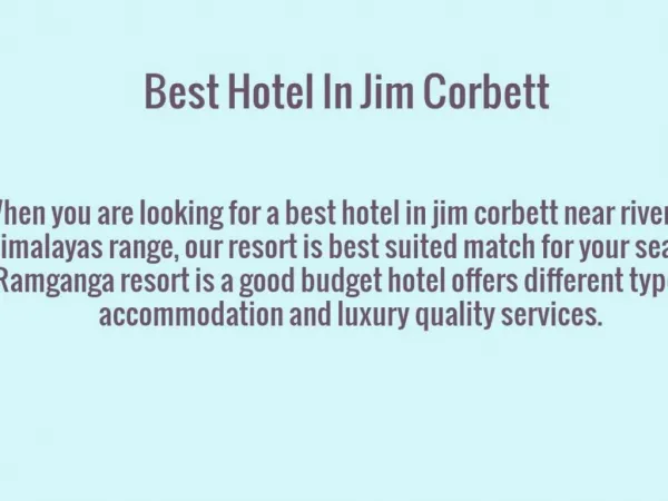 Best Budget Accommodation Hotel In Corbett