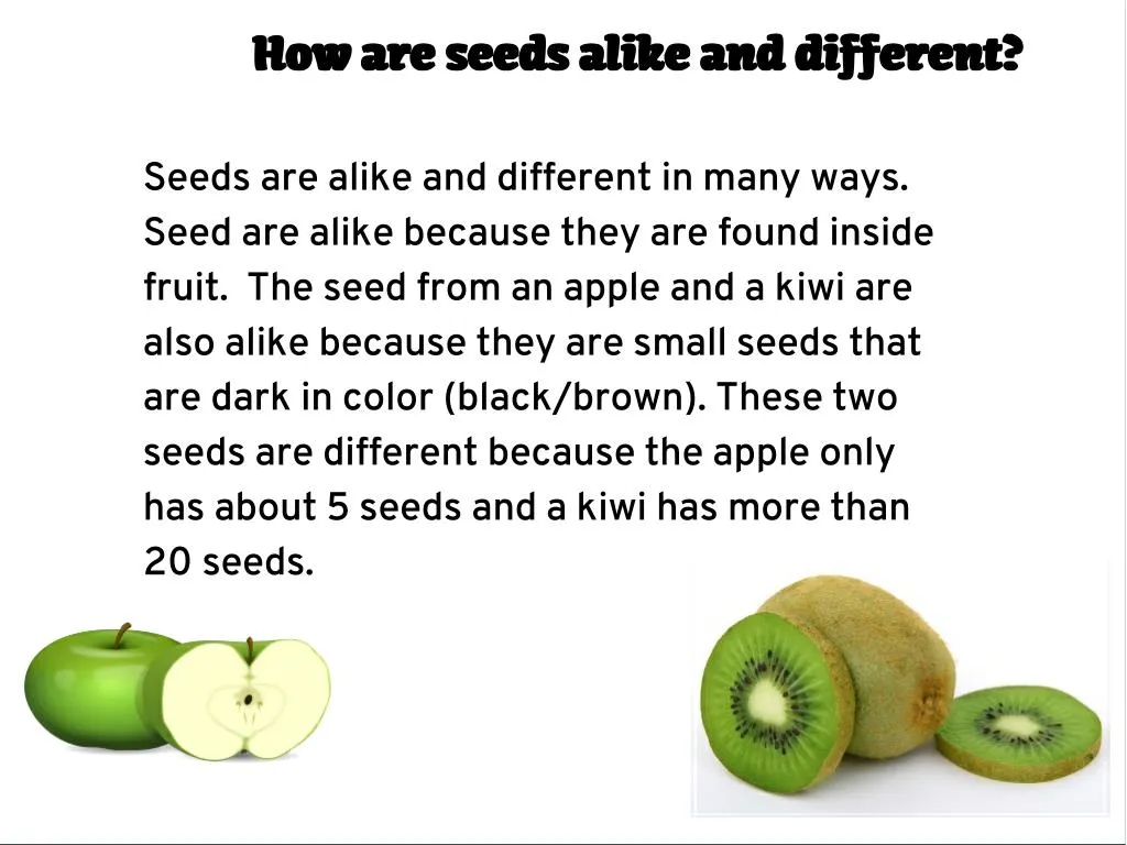how are seeds alike and different how are seeds