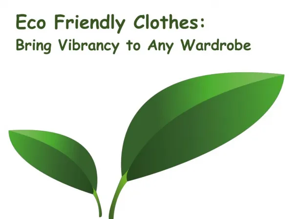 Eco friendly clothes: Bring Vibrancy to Any Wardrobe