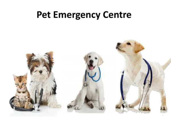 Pet Emergency And Specialist Centre