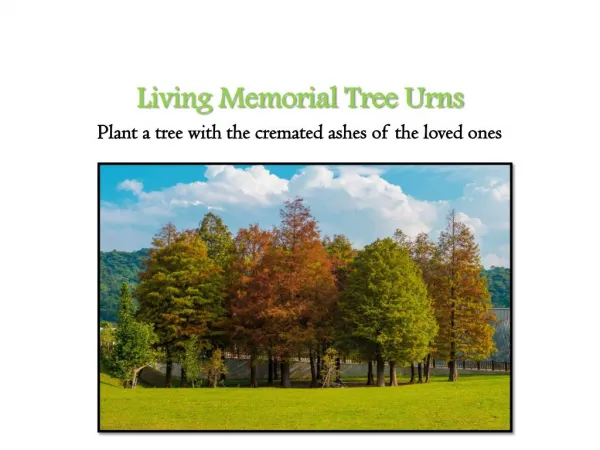 Living Memorial Tree Urns