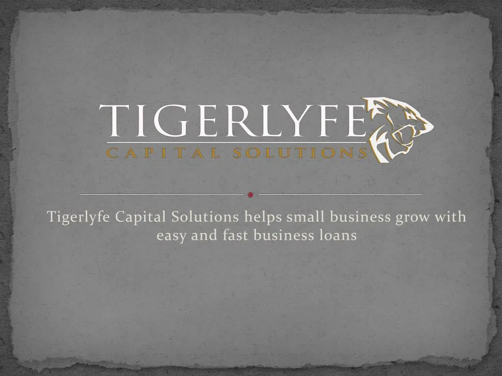 tigerlyfe capital solutions helps small business grow with easy and fast business loans