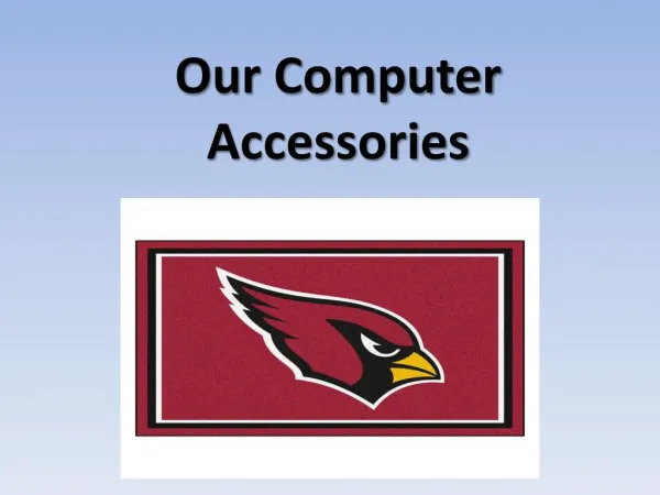 Our Computer Accessories