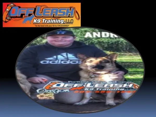 Dog Trainers Portland