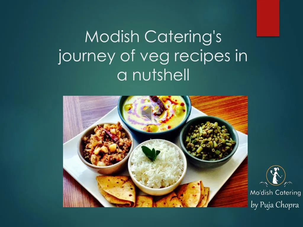 modish catering s journey of veg recipes in a nutshell