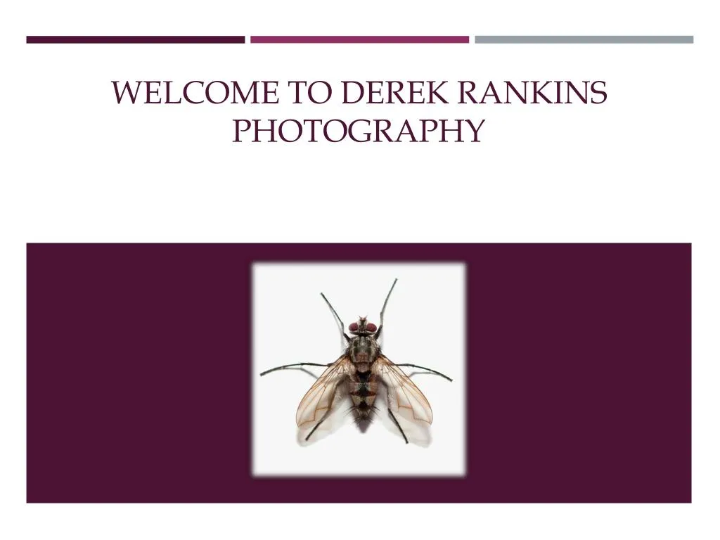 welcome to derek rankins photography