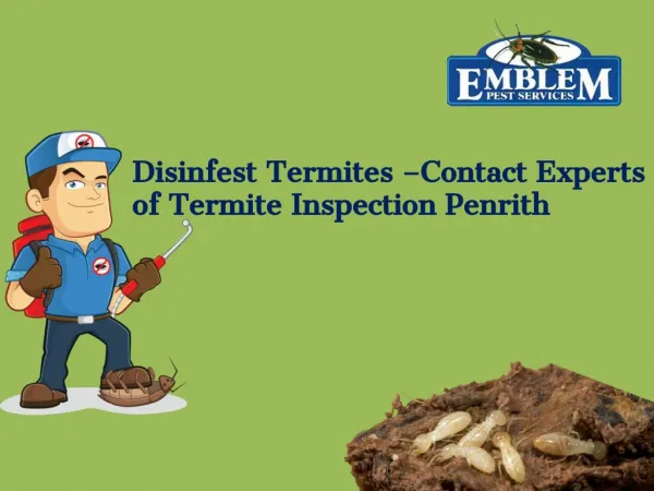 Termite Inspection Penrith|Termite Inspection Blue Mountains