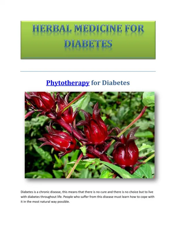 Phytotherapy for Diabetes