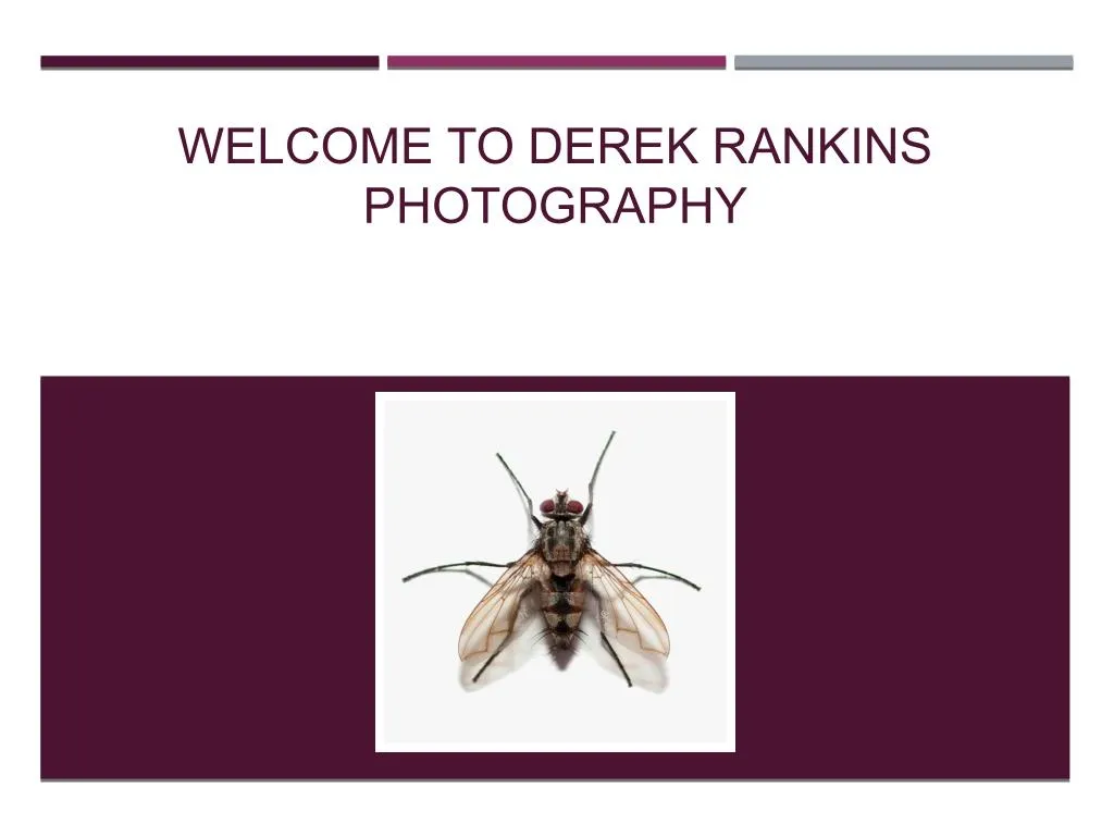 welcome to derek rankins photography