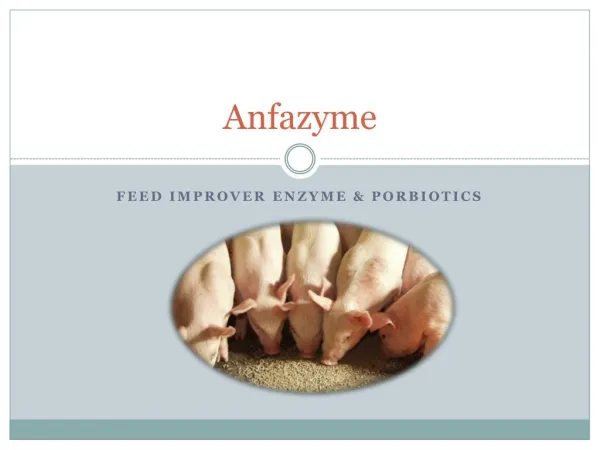 Enzymes & Porbiotics feed supplements for Swine