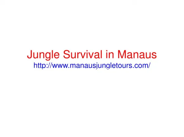 Amazing jungle tours in Manaus