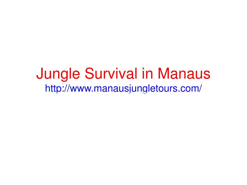 jungle survival in manaus http