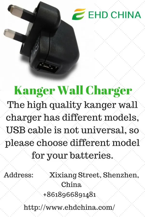 Kanger Wall Charger
