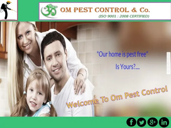 Hire The Right Pest Control Company in Odisha