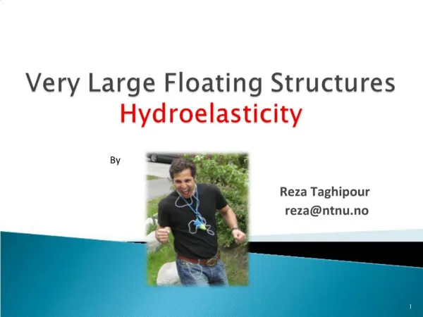 Very Large Floating Structures Hydroelasticity